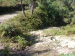 DSC00851.jpg