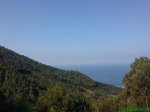DSC00852.jpg