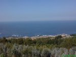 DSC00856.jpg
