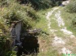 DSC00864.jpg