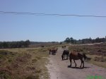 DSC00872.jpg