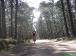 DSC00879.jpg