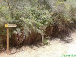 DSC00890.jpg