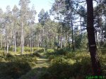 DSC00899.jpg