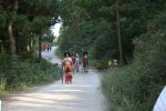 IMG_5095.JPG