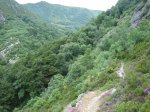 IMG_5881 (Large).JPG