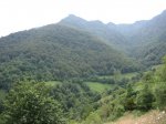 IMG_5887 (Large).JPG
