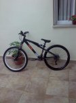 Imagen071.jpg