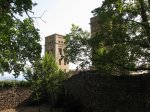 IMG_6882.JPG