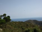 IMG_6903.JPG