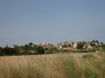 IMG_6913.JPG