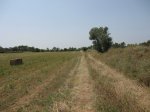 IMG_6982.JPG