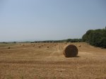 IMG_6990.JPG