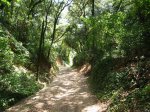 IMG_7012.JPG