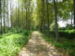 IMG_7025.JPG
