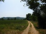 IMG_7026.JPG