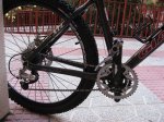 Giant 005.jpg