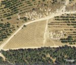 campillo campo de las naciones.jpg