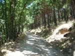 DSC06233.JPG