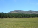 DSC06251.JPG
