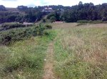 26072008599.jpg