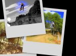 collage2i.jpg