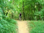 DSC00344.JPG