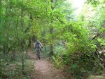 DSC00353.JPG