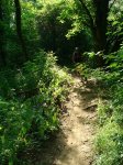 DSC00378.JPG