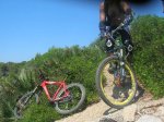 DSCN4437.jpg