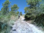 Ruta san fernando 27-07-2008 015.jpg
