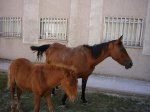 Foto6.jpg