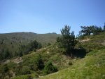 Foto18.jpg