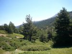 Foto19.jpg