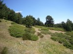 Foto20.jpg