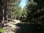 Foto22.jpg