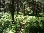 Foto28.jpg