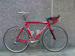 madone1.jpg