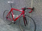 madone2.jpg