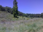27072008989.jpg