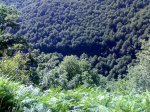 27072008245.jpg