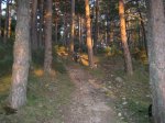Foto 001.JPG