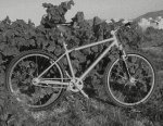 kula-SM-blanc-i-negre.jpg