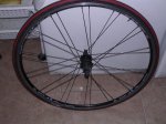 DSCN4594.JPG