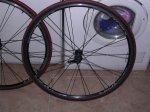 DSCN4595.JPG