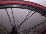 DSCN4598.JPG