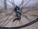 DSCN4600.JPG