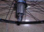 DSCN4601.JPG