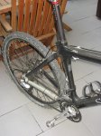 Storck_transmi.JPG