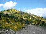 img17.jpg